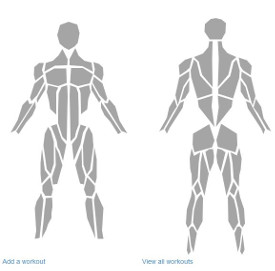 Second project - interactive muscle map